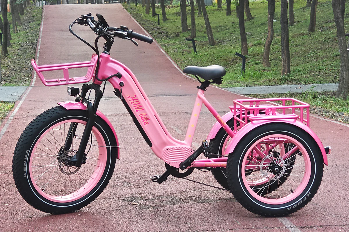 TriHauler Pro Cargo 1000W Rear-Drive Fat Tire Etrike (Fully Assembled) - Image 35